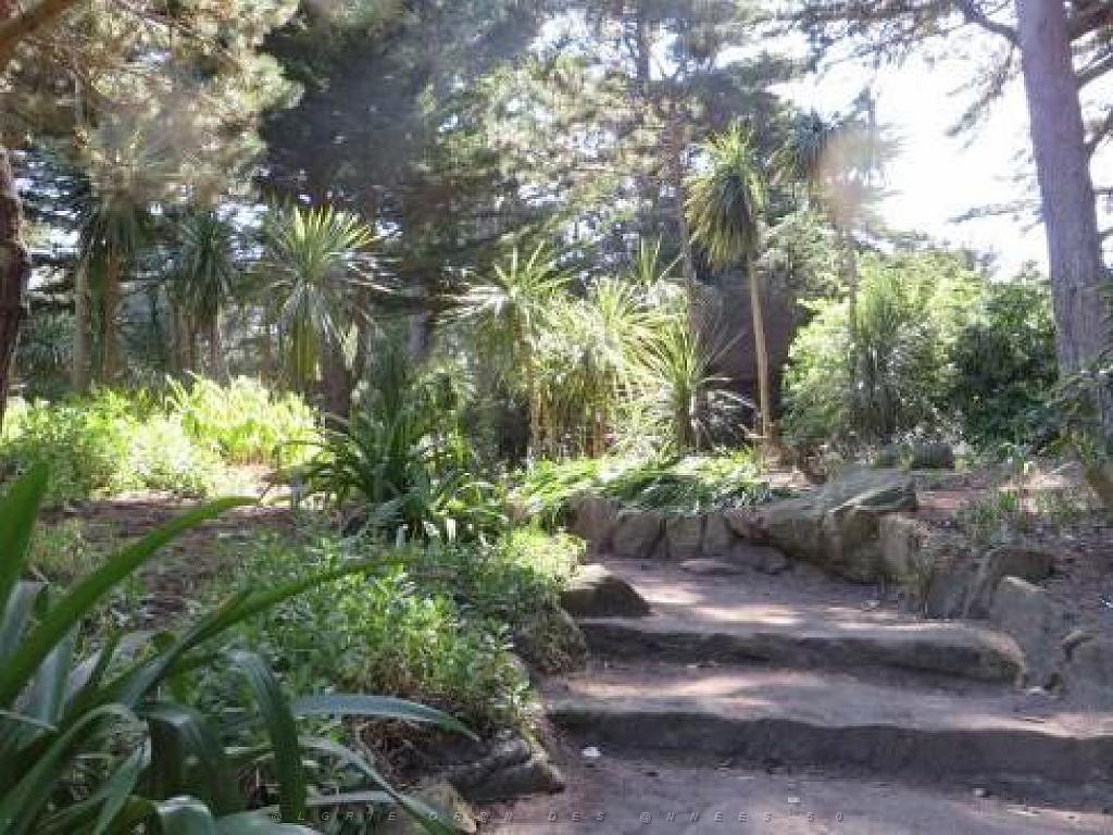 130 Ile de Batz Jardin Georges Delaselle_000032.jpg